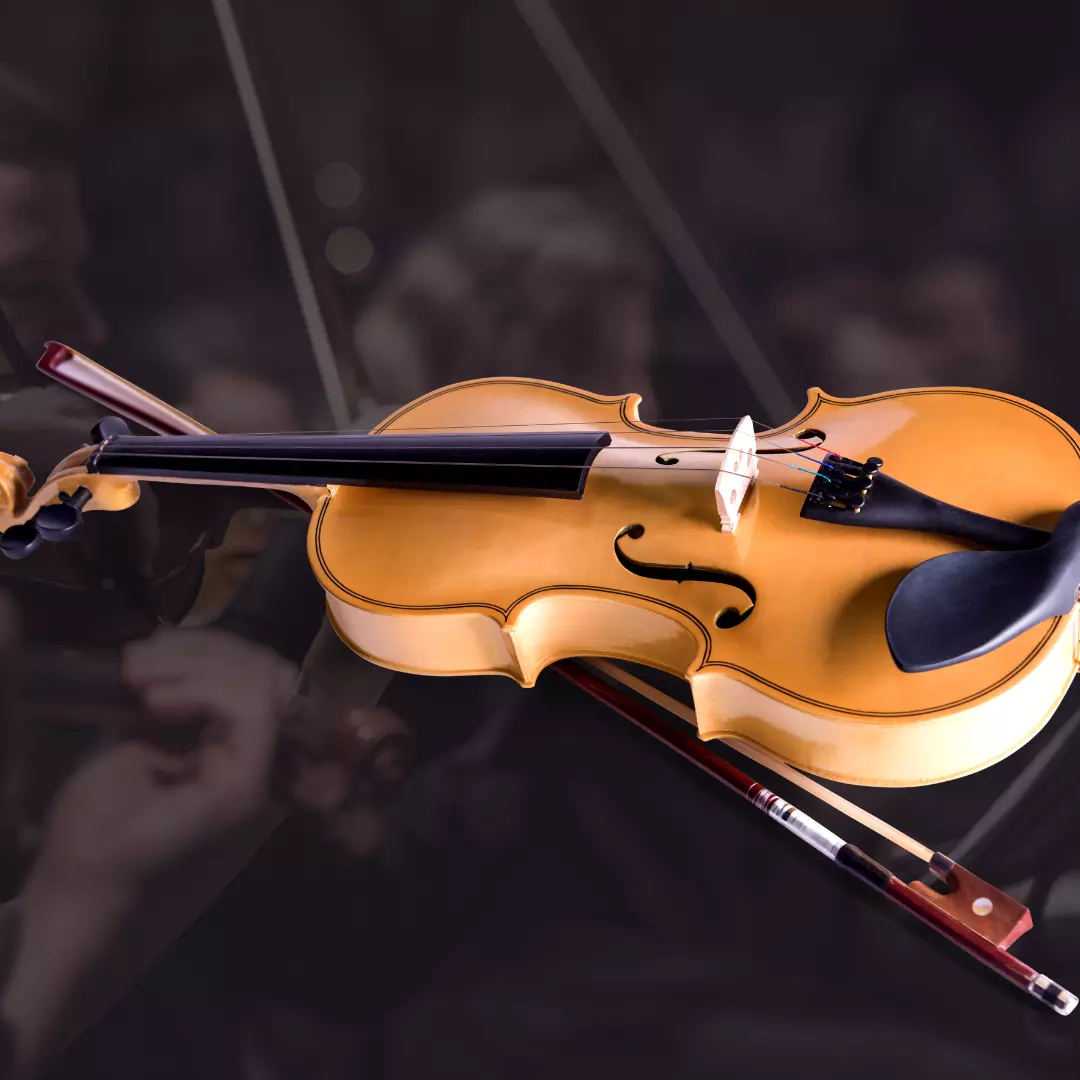 Violino e violoncelo